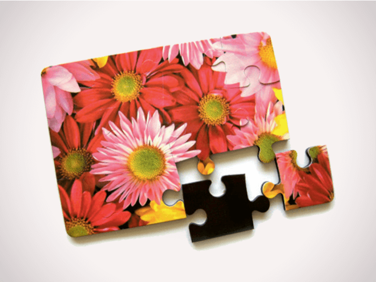 Puzzle Magnets 6 pcs.